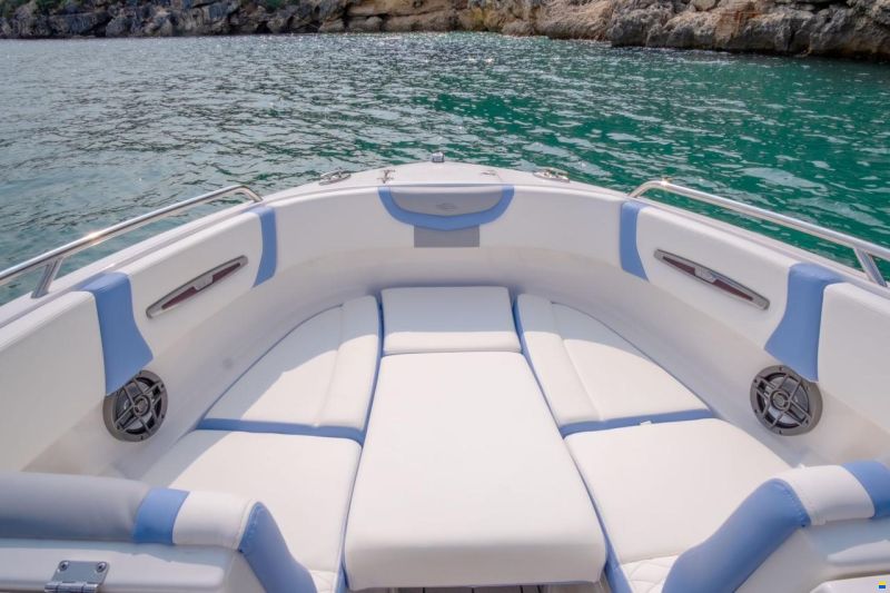 Chaparral 247 SSX