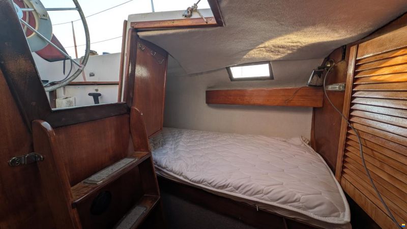 CBS Harmony 31