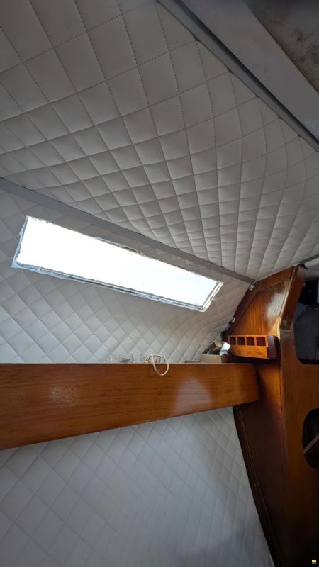 CBS Harmony 31