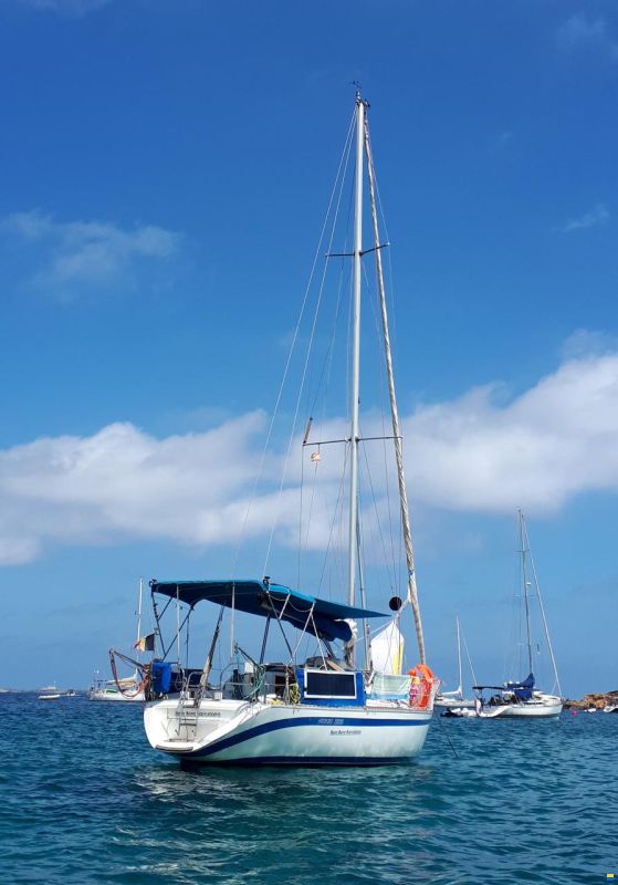 Furia 332
