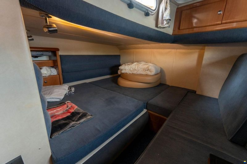Sealine S37