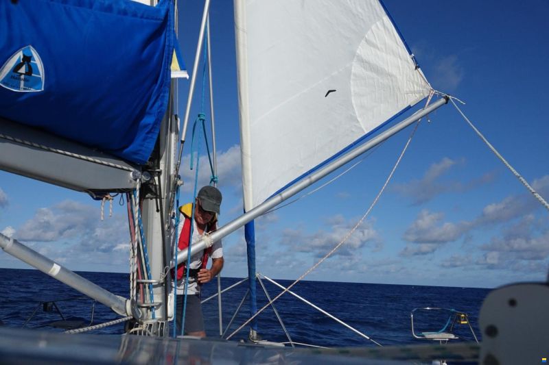 Maxim 380