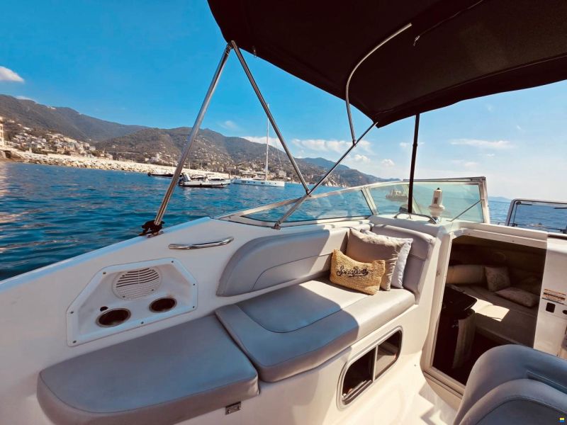 Chaparral 240 Signature
