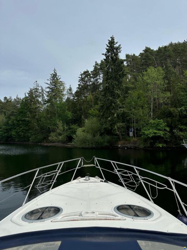 Cranchi Endurance 41