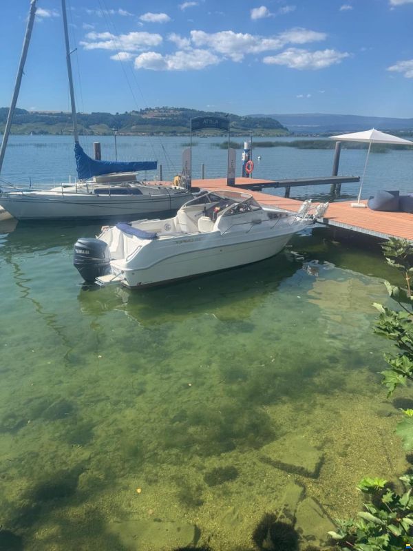 Drago Boats 660