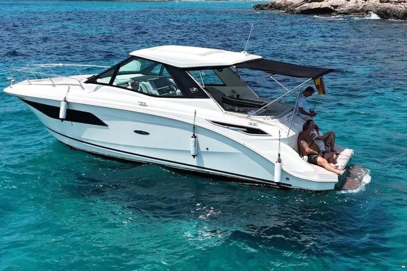 Sea Ray Sundancer 320 Coupe