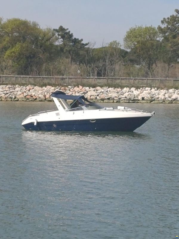 Sessa 26 Ninja