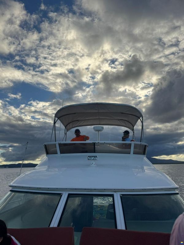 Sea Ray Sedan Bridge 400