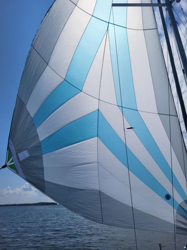 Northman Maxus 26