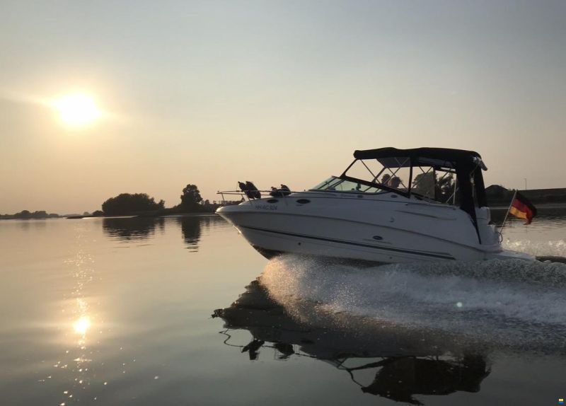Chaparral Signature 240