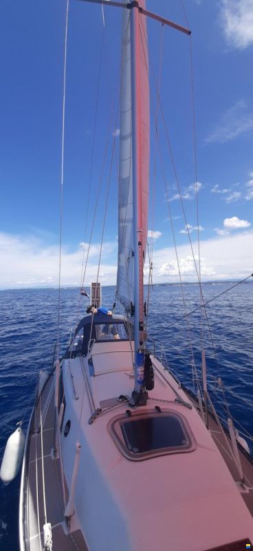 Neptun 29 DKS