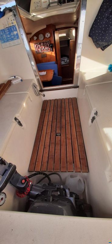 Neptun 29 DKS