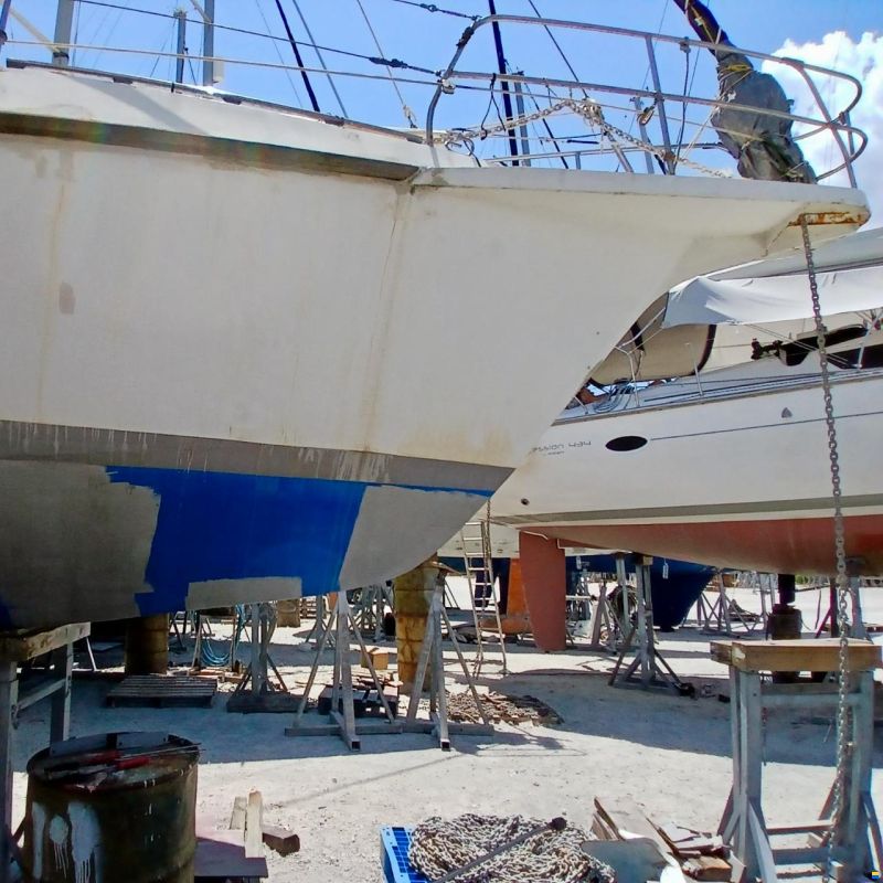Reinke Hydra SC