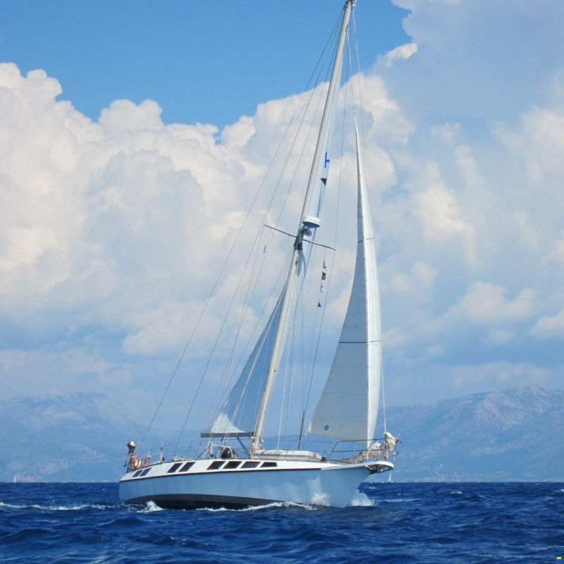 Reinke Hydra SC