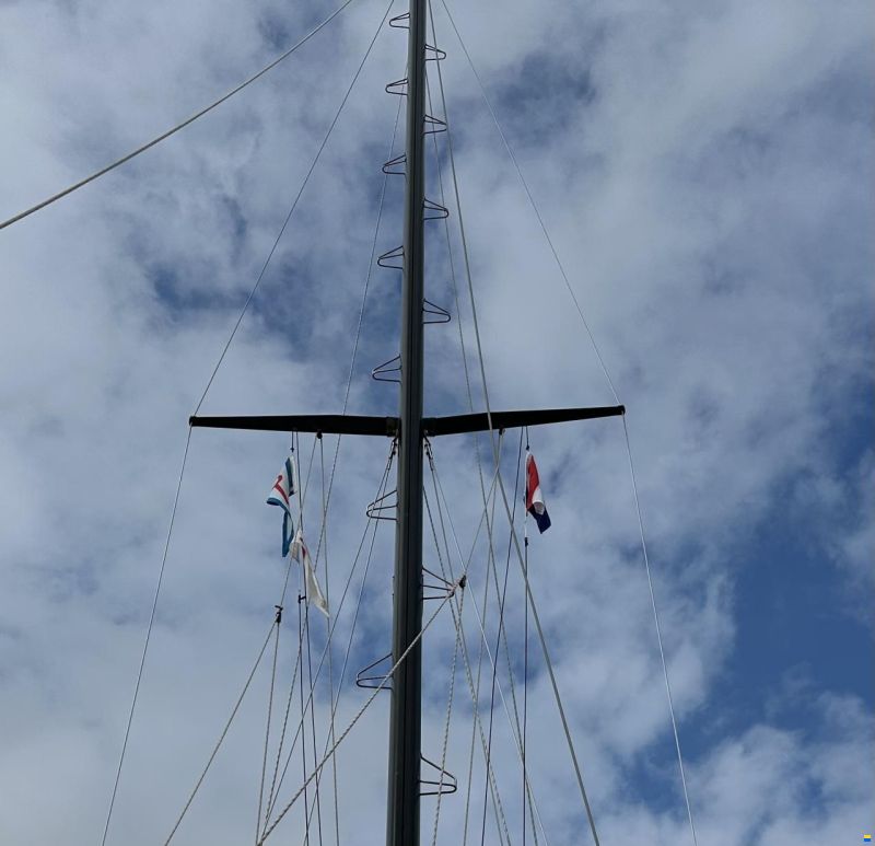 Widholms Beason 31