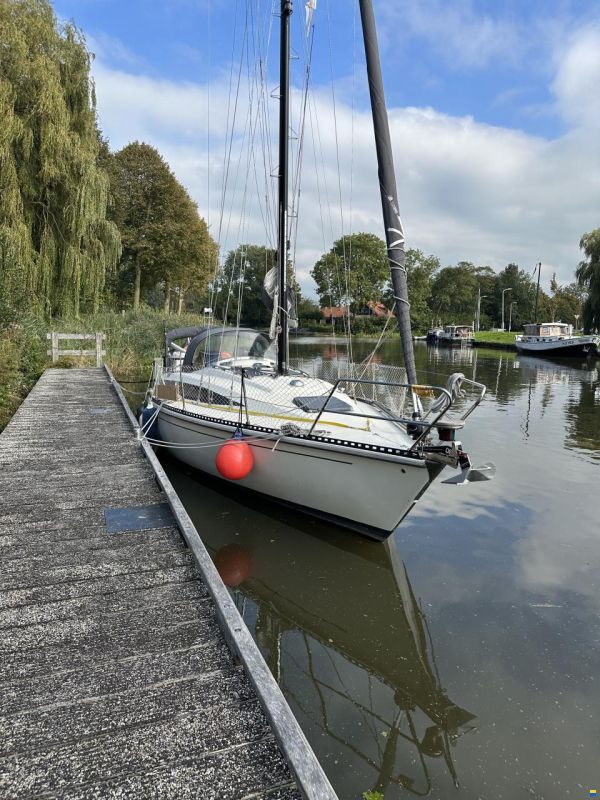 Widholms Beason 31