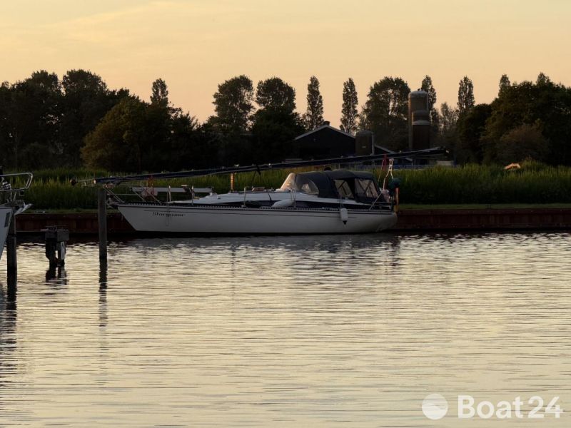 Widholms Beason 31