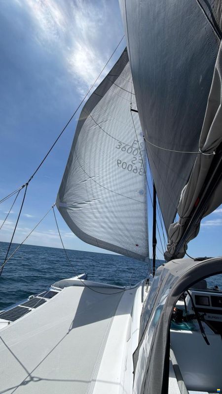Dragonfly 36 Performance