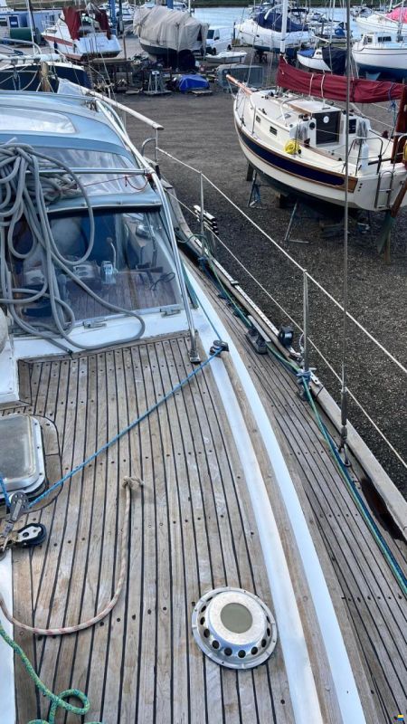 Trintella IV / Victory 40