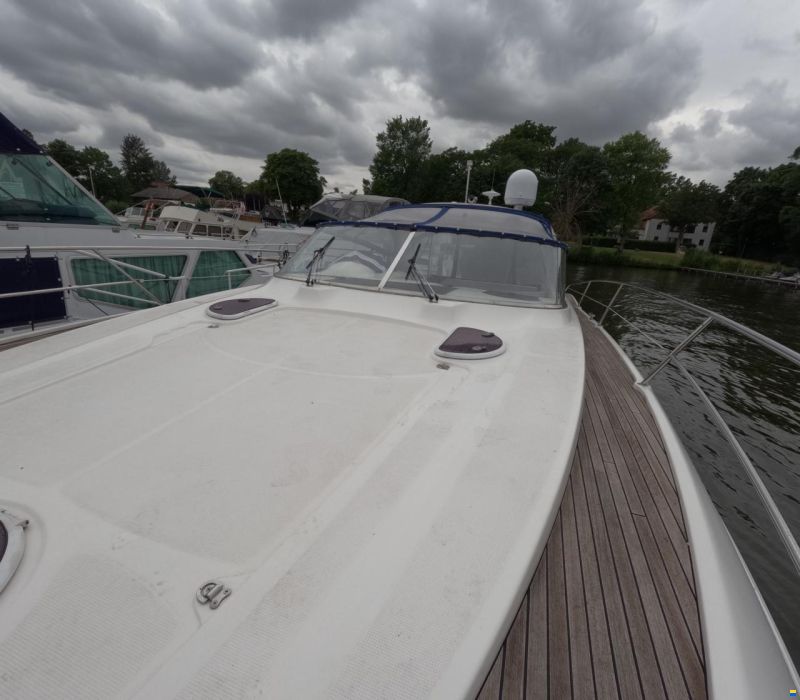 Bavaria Sport 37