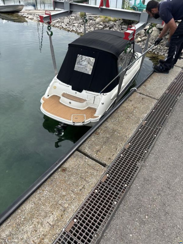 Stingray 250LR