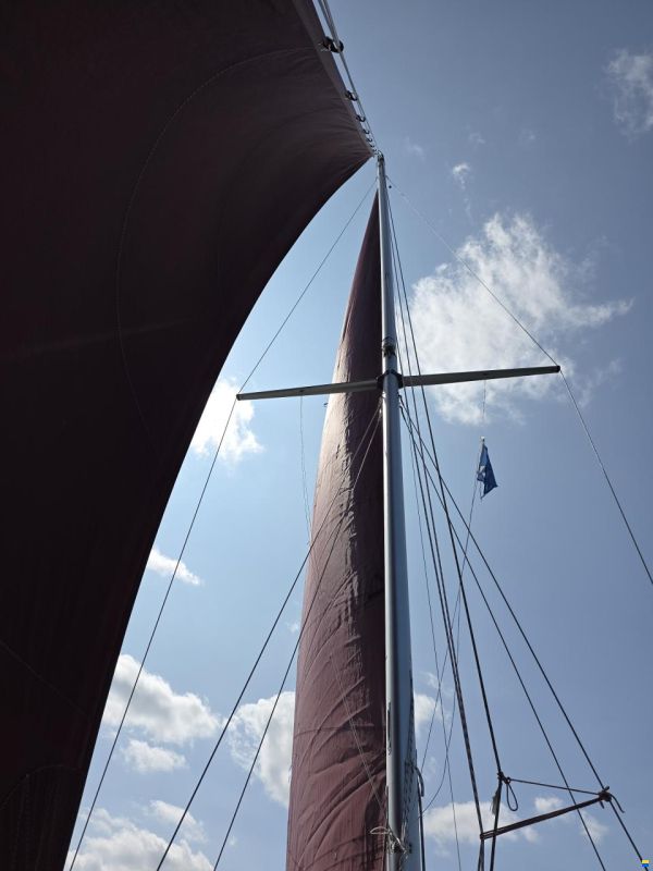 Rossiter Pintail 27