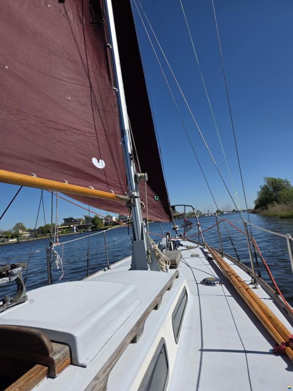 Rossiter pintail 27