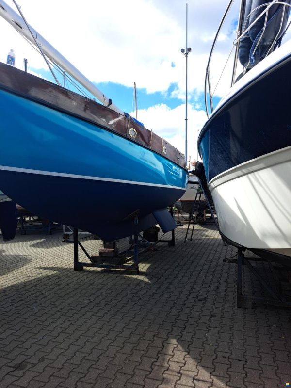 Rossiter Pintail 27