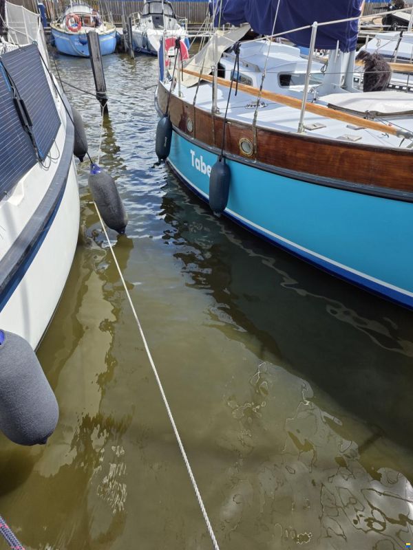 Rossiter pintail 27