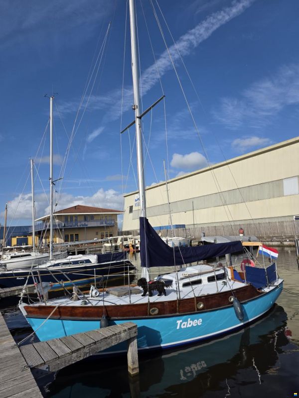 Rossiter Pintail 27