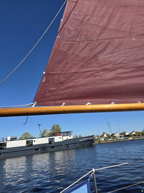 Rossiter pintail 27