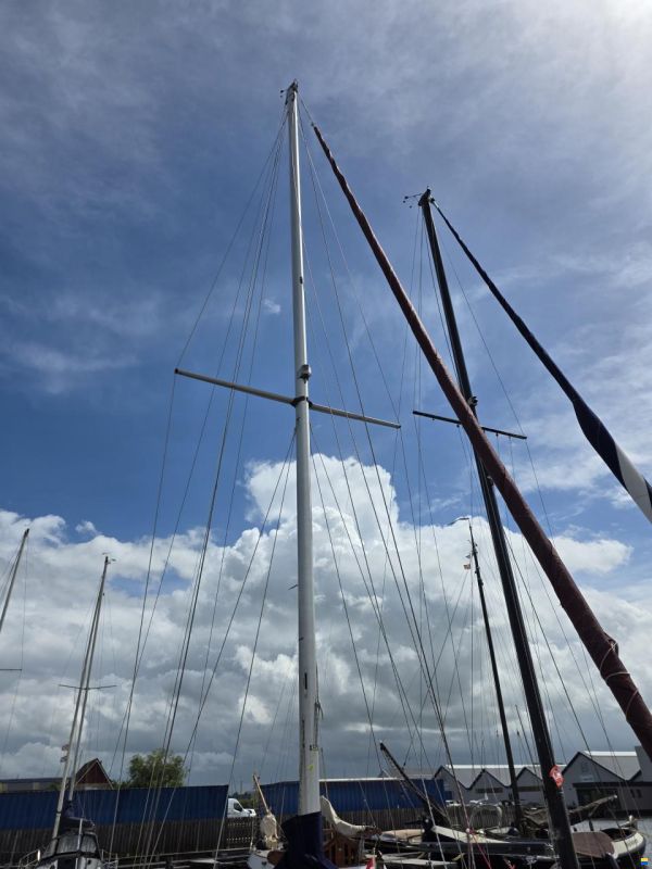 Rossiter pintail 27