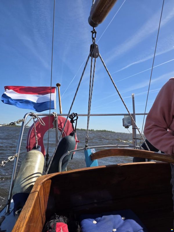Rossiter Pintail 27