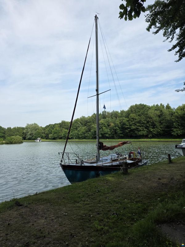 Rossiter Pintail 27