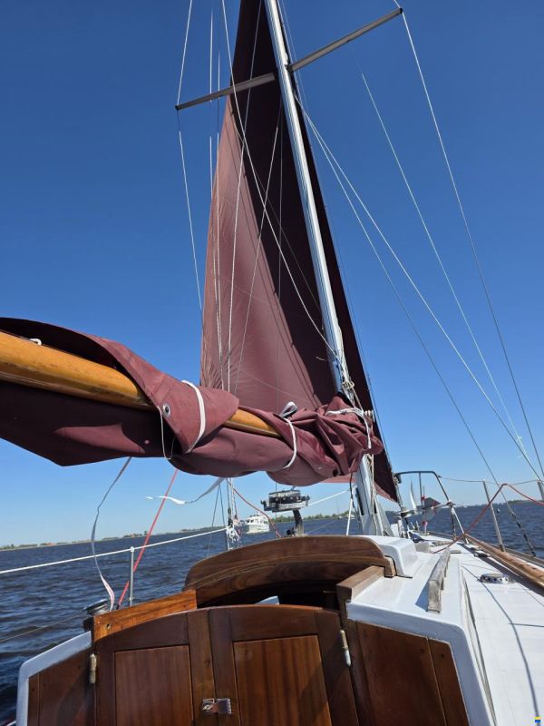 Rossiter Pintail 27