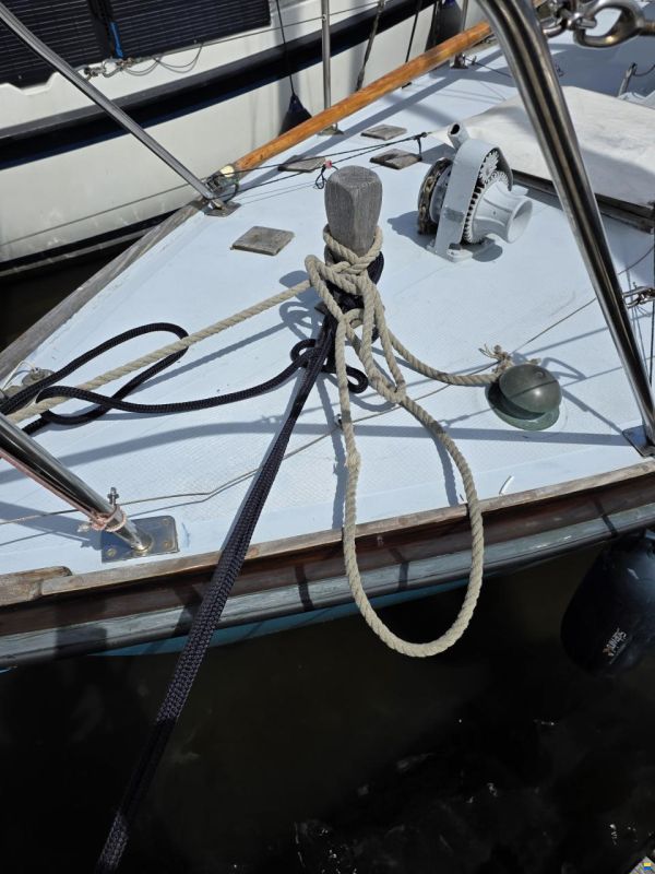Rossiter Pintail 27