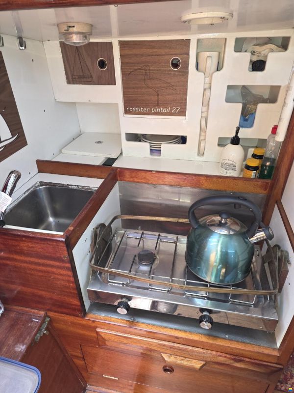 Rossiter pintail 27