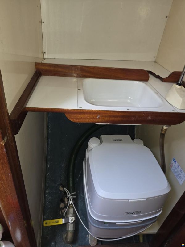 Rossiter pintail 27