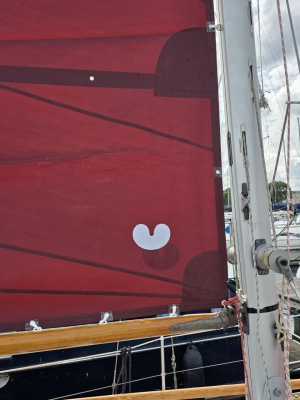 Rossiter Pintail 27
