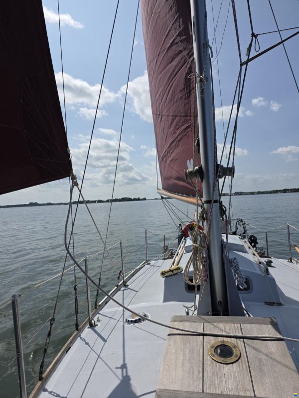 Rossiter Pintail 27