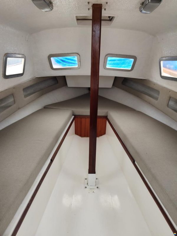 Copino 36