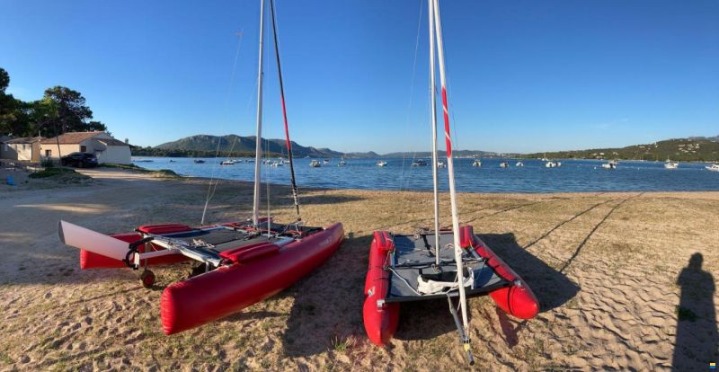 Grabner - Happy CAT Hurricane
