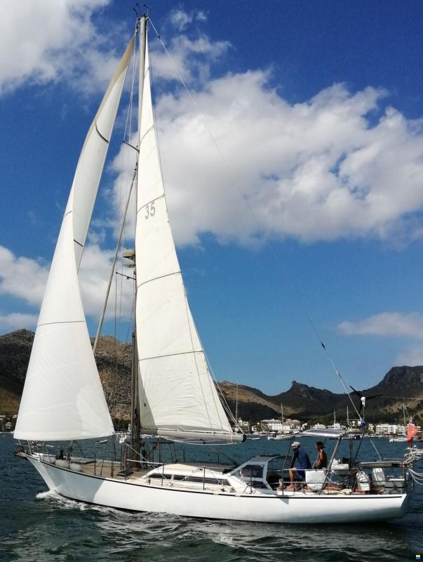 Brown Bluewater 49