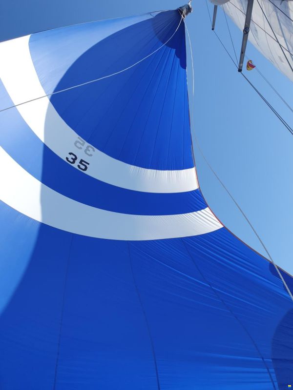Brown Bluewater 49