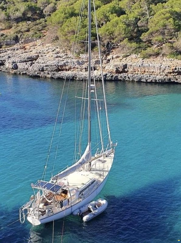 Brown Bluewater 49