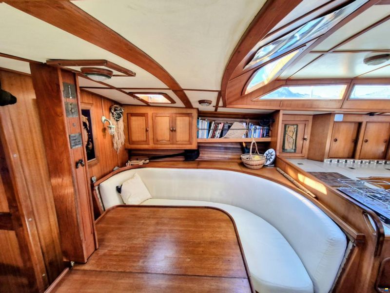 Brown Bluewater 49