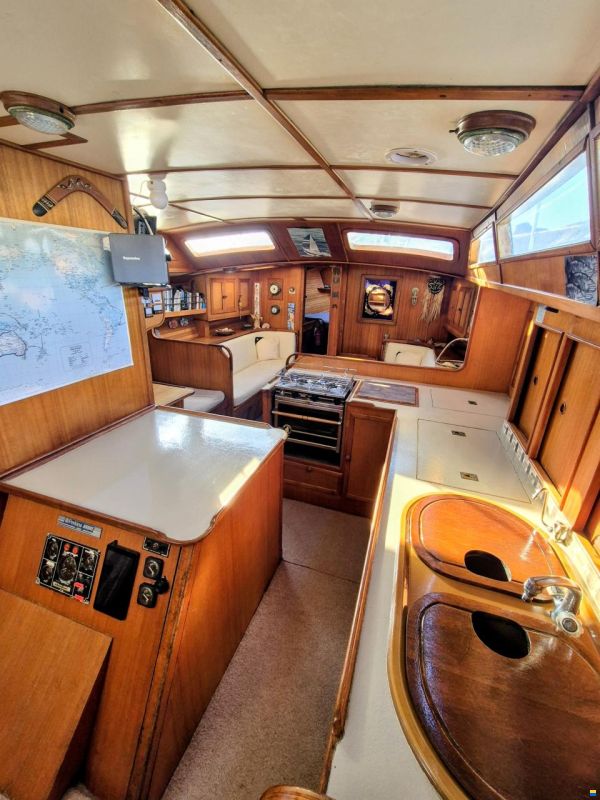 Brown Bluewater 49