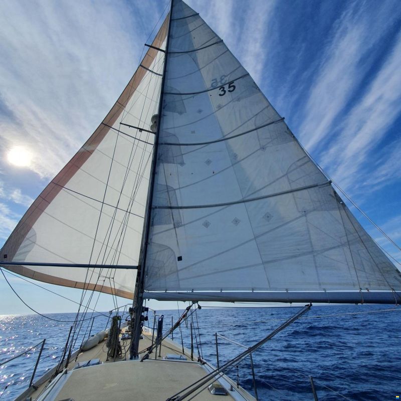 Brown Bluewater 49