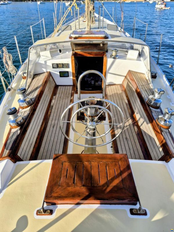 Brown Bluewater 49
