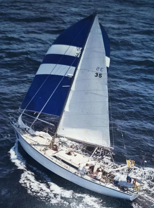 Brown Bluewater 49